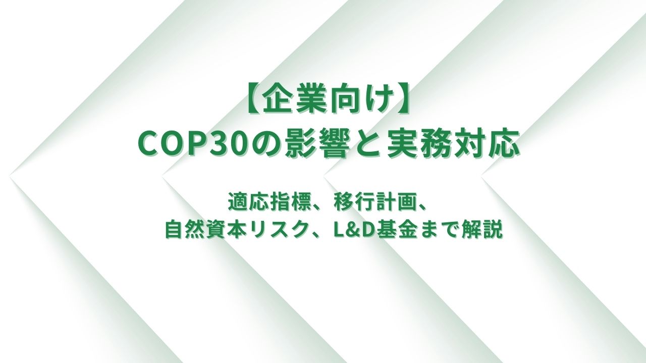 【企業向け】COP30の影響と実務対応：適応指標、移行ロードマップ、森林リスク、L&D基金まで解説
