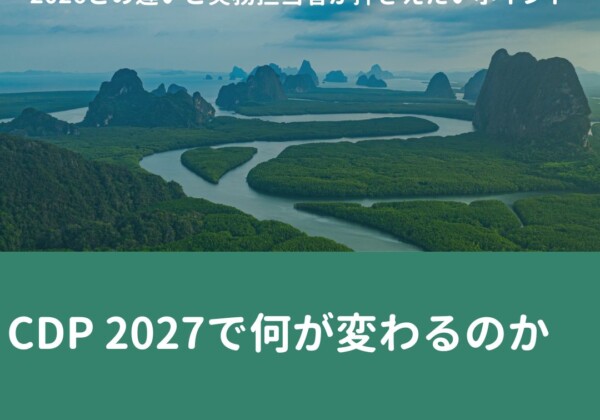 CDP 2027で何が変わるのか　― 2026との違いと実務担当者が押さえたいポイント ―