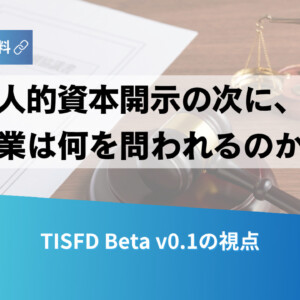 Cover image for a report: Japanese title asks 'What will be asked of companies after human capital disclosure?' with scales of justice and a gavel in the background, plus a blue gradient banner reading 'TISFD Beta v0.1の視点'.