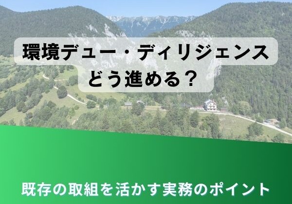 山岳風景のプレゼンテーション・スライド。環境デュー・デリジェンスどう進める？と、既存の取組を活かす実務のポイントという日本語のタイトルが中央にある。下部は緑のグラデーション。