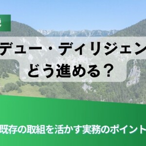 Slide title: 解説 環境デュージリジェンスをどう進める？ 既存の取組を活かす実務のポイント（背景に山岳風景、前景に緑のデザイン）