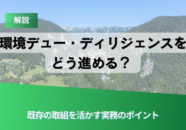Slide title: 解説 環境デュージリジェンスをどう進める？ 既存の取組を活かす実務のポイント（背景に山岳風景、前景に緑のデザイン）