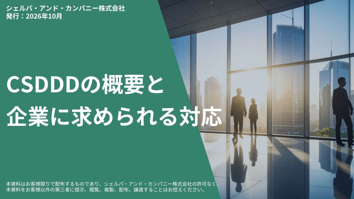 csdddオムニバス改正