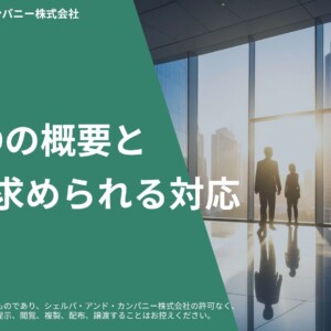 csdddオムニバス改正