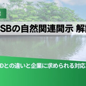 解説ヘッダー：ISSBの自然関連開示の解説とTNFDとの差異、企業の対応を示す日本語テキストが川と緑の背景に重なる画像。前景は緑のグラデーション。